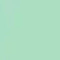 Poli-Flex® Mint
