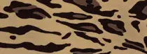 Metallic Cheetah HTV