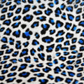 Blue Leopard HTV