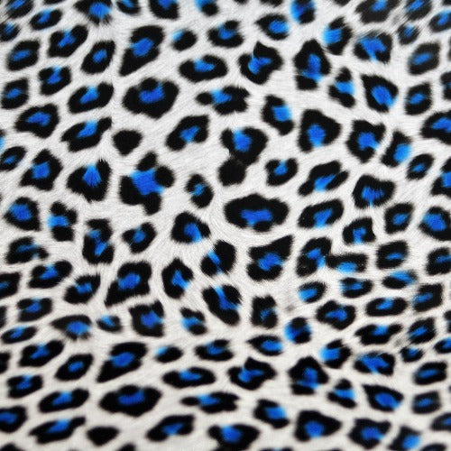 Blue Leopard HTV