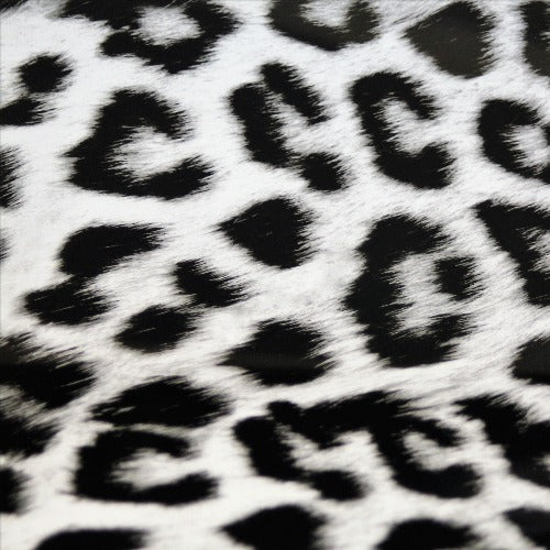 Snow Leopard HTV