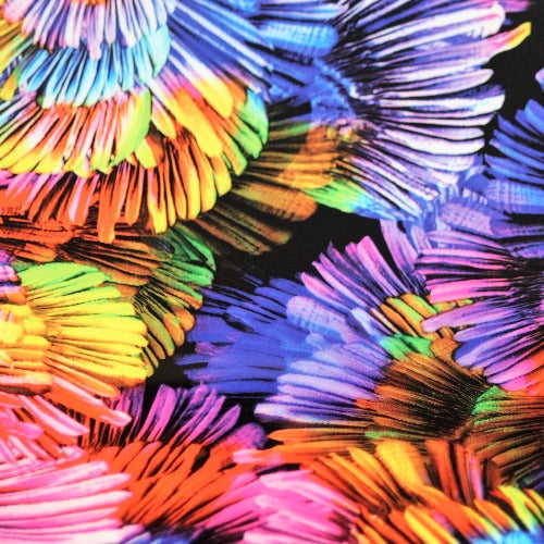 Coral Reef HTV
