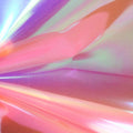 Chameleon Neon Light Pink