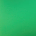 Reflex Green HTV