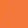 Orange Flock HTV