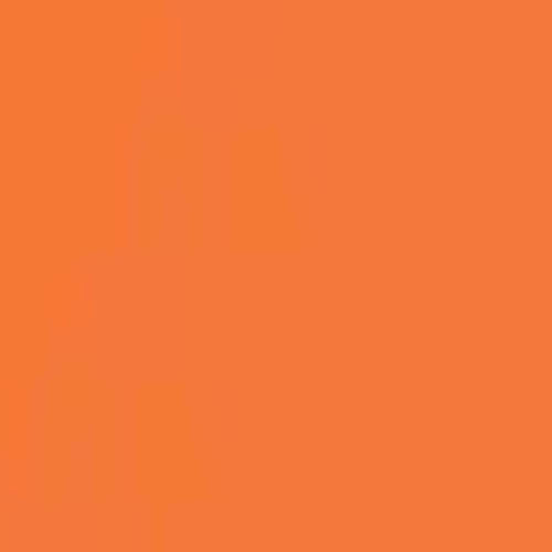 Orange Flock HTV