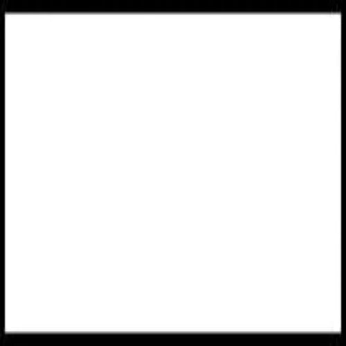 White Flock HTV